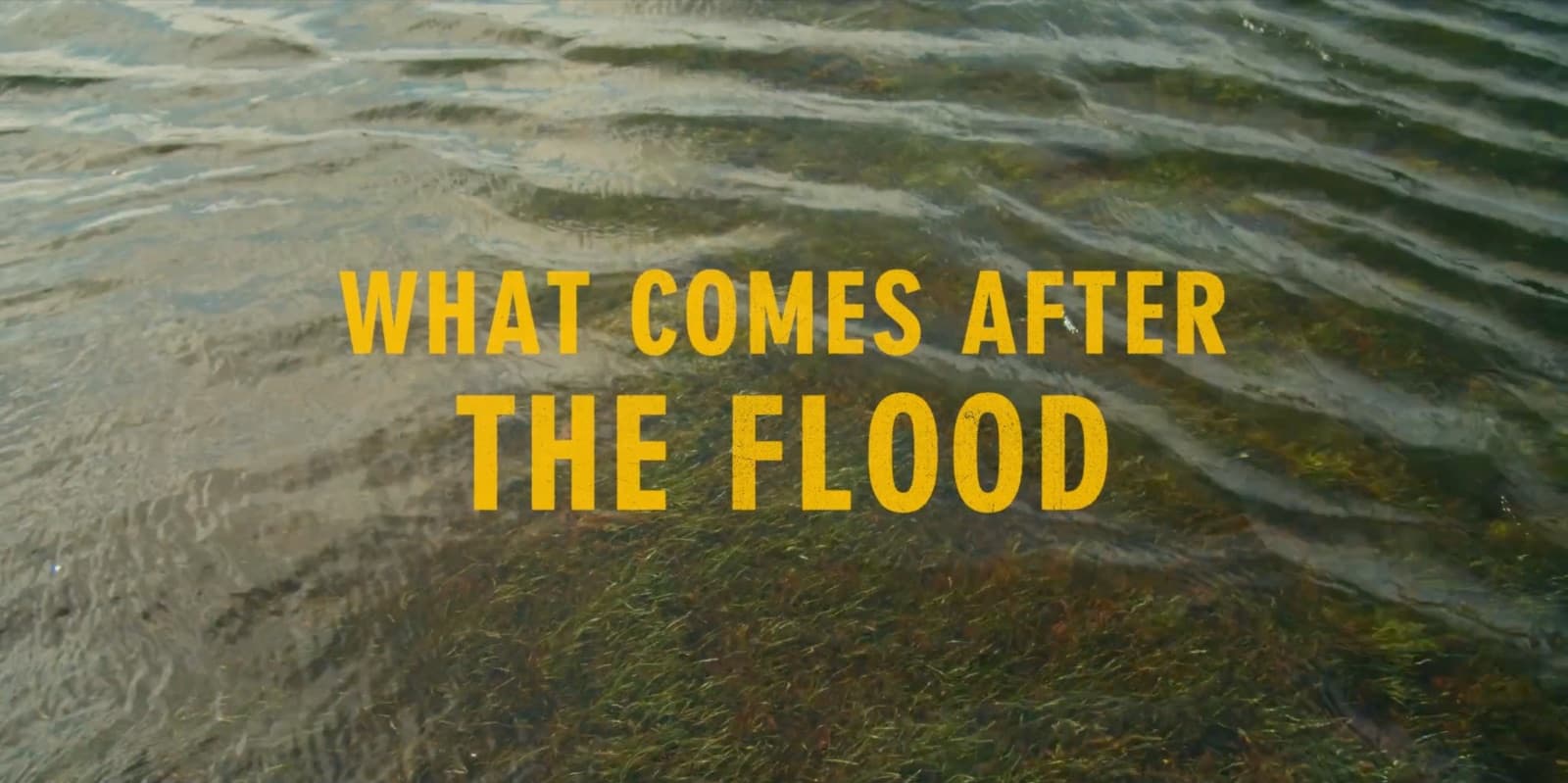 What Comes After The Flood